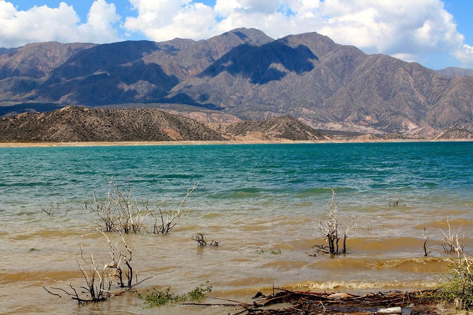 potrerillos, argentina