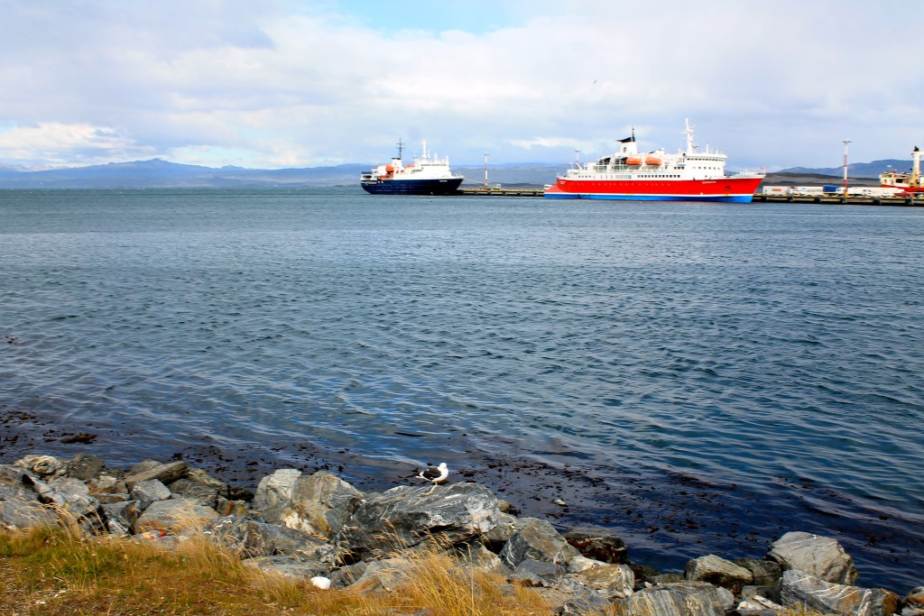 Looking out over the Beagle Channel 