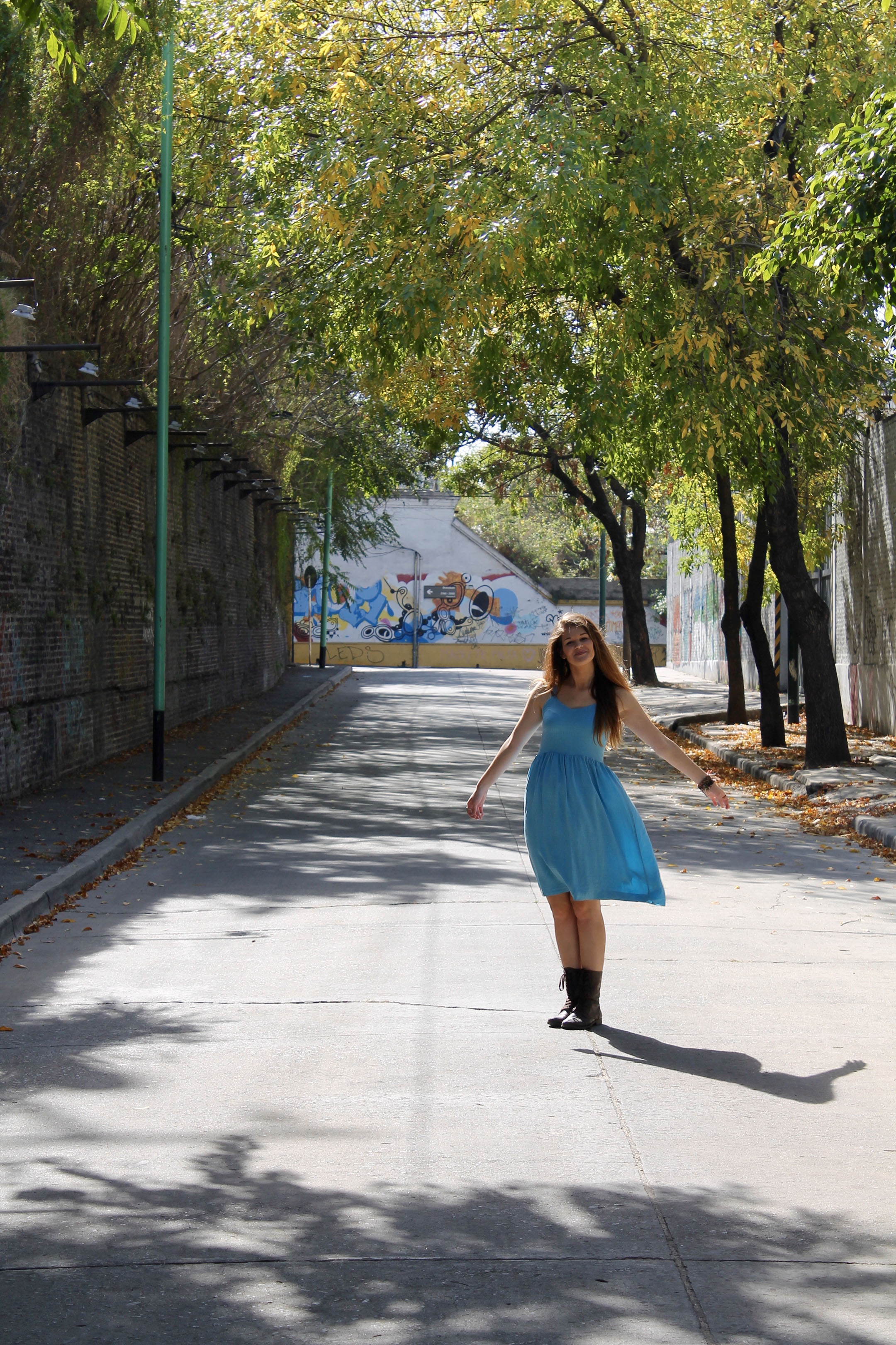 buenos aires calle lanin image