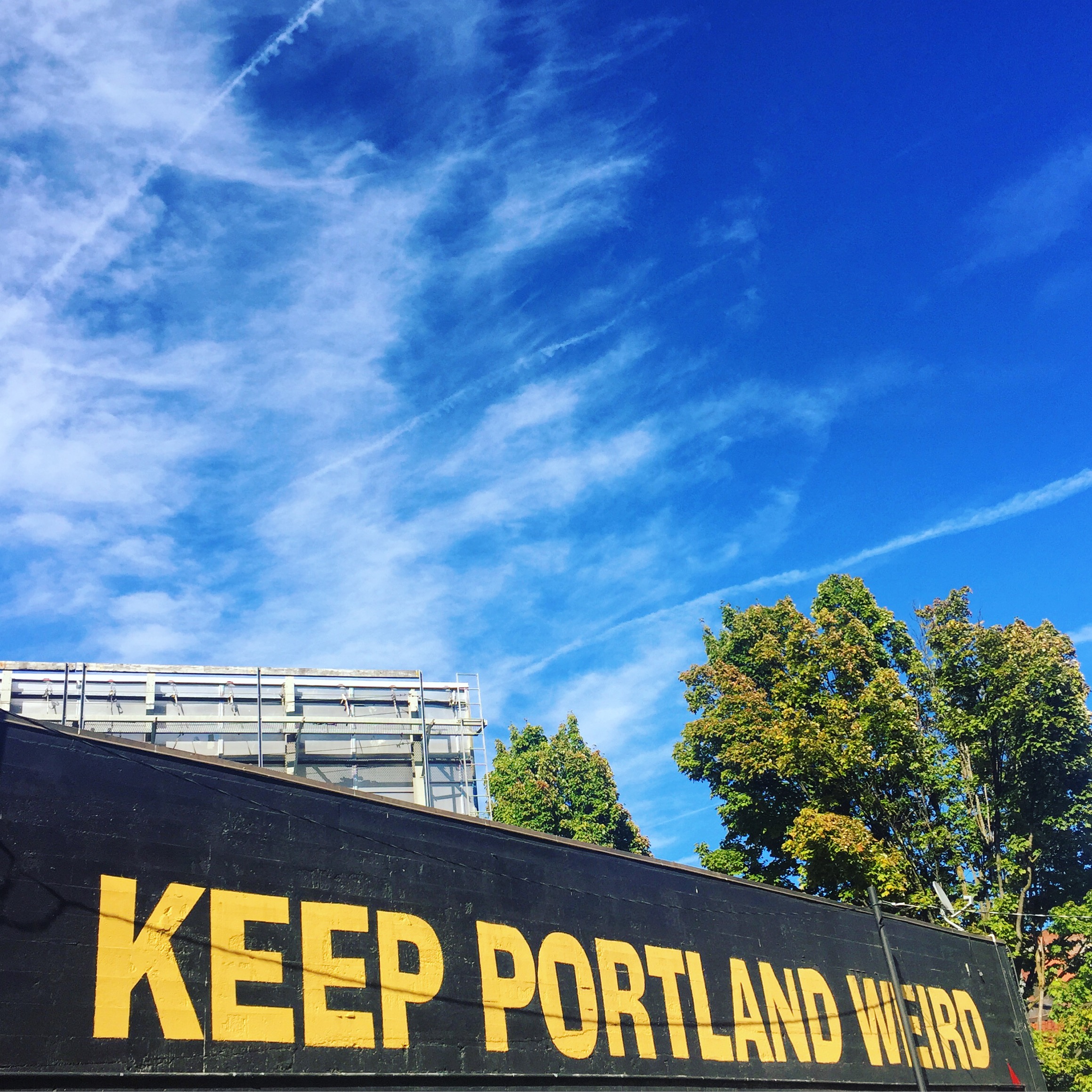cycling_portland_1